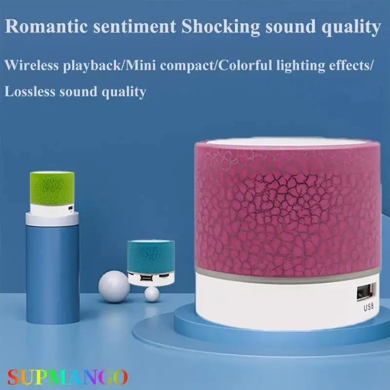 Mini Portable Audio speaker