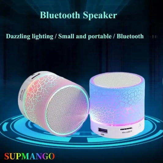 Mini Portable Audio speaker